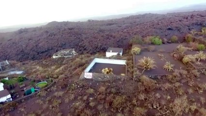 Un cartel anuncia que han rescatado a los perros atrapados en La Palma