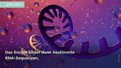 Neue Corona-Studie: Kann das Virus so zukünftig gestoppt werden?