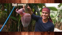 Farm To Table: Discover local favorites | Teaser Ep. 36