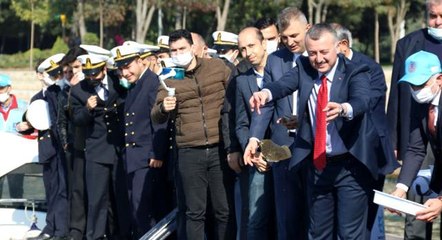 İzmit Körfezi'ne 6 bin çipura, levrek ve kalkan bırakıldı