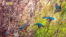 Wildlife Photographer Captures Beautiful Collection of Birds That Flew Into His Garden During Lockdown