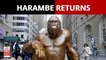 Harambe Returns: A Harambe Gorilla Statue Is Staring Down Wall Street’s Charging Bull
