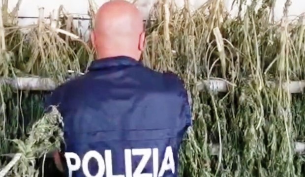 Orosei (NU) - Una tonnellata di marijuana in azienda agricola: 3 arresti (21.10.21)