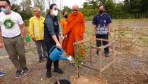 ศรีสะเกษ หลวงพ่อพุฒนำชาวพุทธปลูกต้นรวงผี้งที่ช่องสะงำเพื่อน้อมรำลึกถึงพระกรุณาธิคุณของสมเด็จย่า