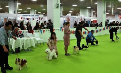 Petzoo Eurasia fuarı kapılarını açtı