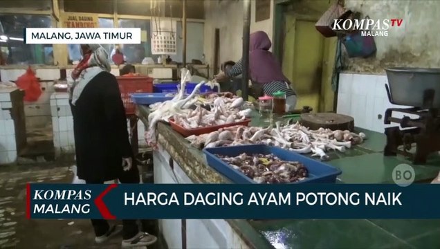Sempat Turun, Harga Daging Ayam Potong Naik