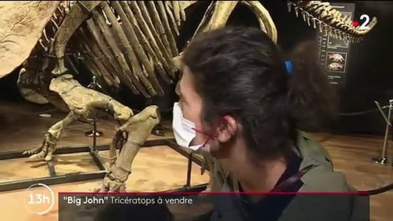 Dinosaure : le squelette de "Big John", le tricératops, mis aux enchères