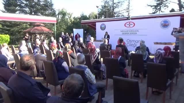 ZONGULDAK - Osmanlı çileği coğrafi işaret tescil belgesi aldı