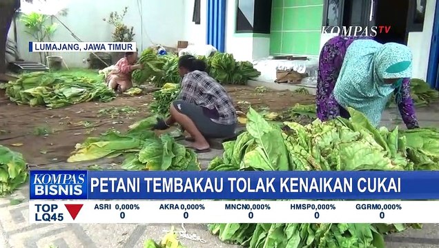 Kenaikan Cukai Dinilai Rugikan Petani Tembakau, Begini Alasannya!