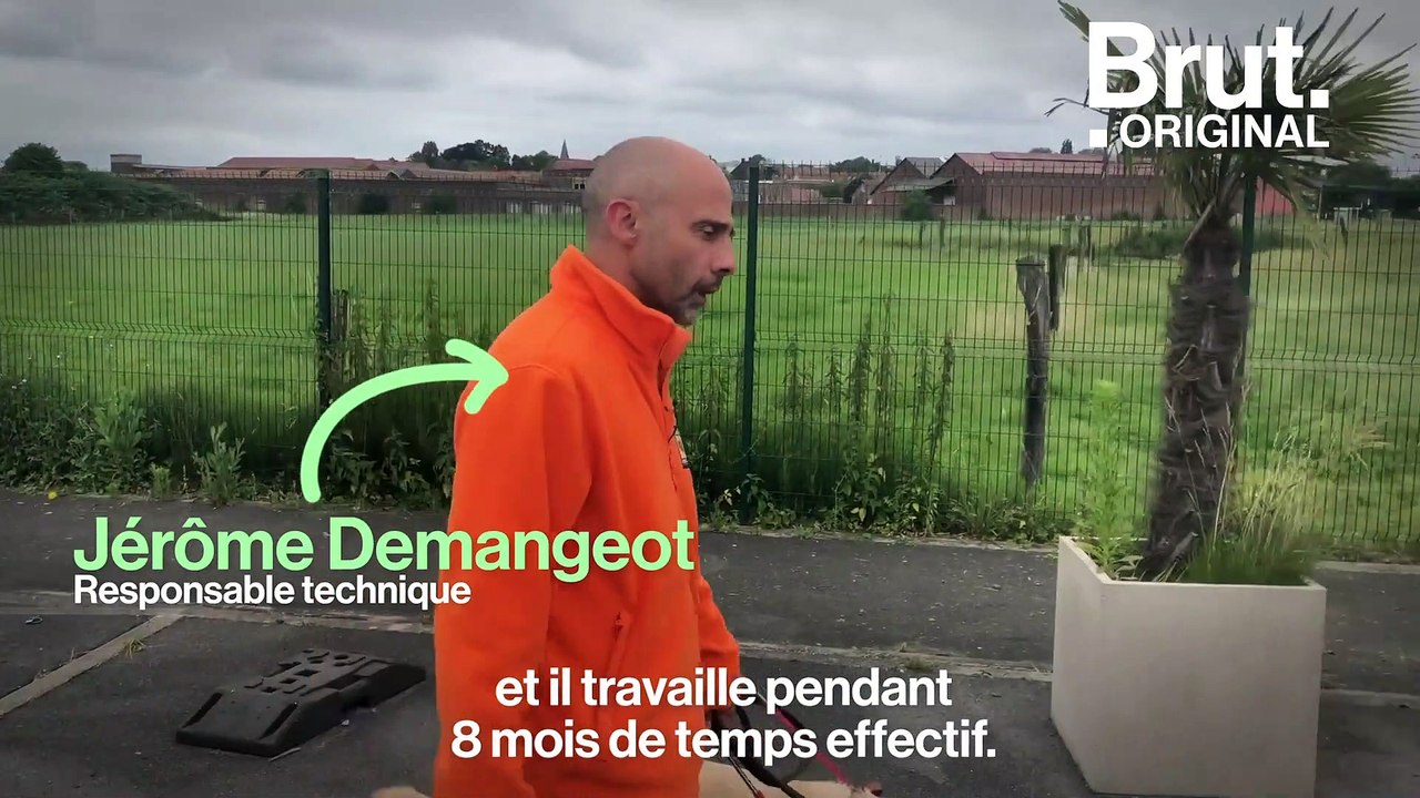 Chiens de sauvetage, guides d'aveugles ou policiers : comment sont-ils formés ?