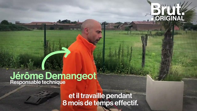 Chiens de sauvetage, guides d'aveugles ou policiers : comment sont-ils formés ?