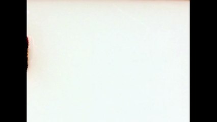 Judy Versus Capitalism - Trailer