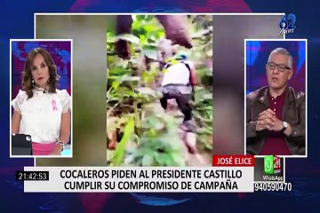 José Elice: “No hay una definición del Gobierno sobre la política antidrogas”