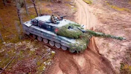 German and Dutch Armoured Units • Iron Wolf II 20