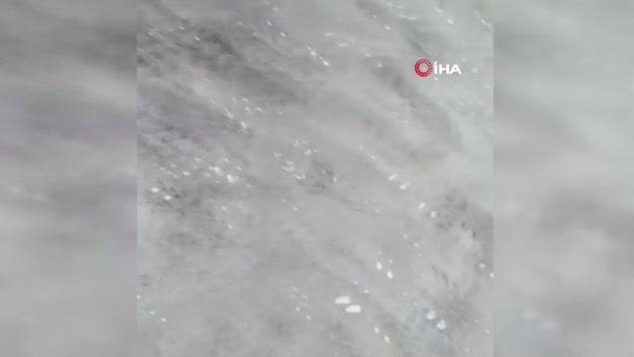 Sahilde parçalanmış ve tanınmaz halde bulunmuştu, bakın ne çıktı