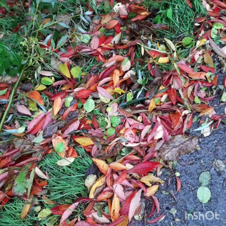 Der Morgen nach dem schrecklichem Sturm*Corona Tag 582