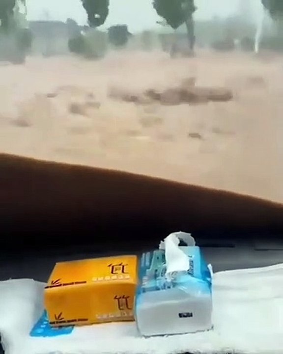 MENERJANG ANJIR