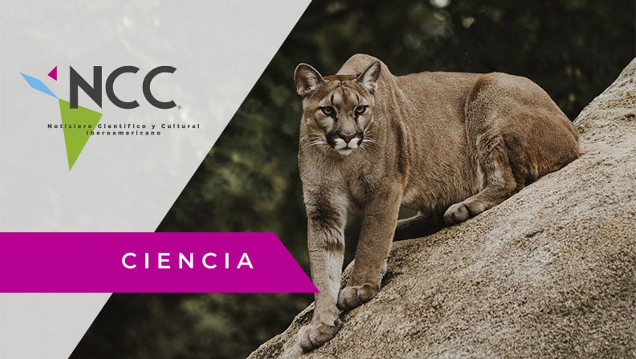 Comunidad ecuatoriana desarrolla proyecto para conservar a los mamíferos