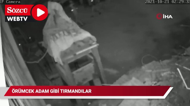 Örümcek adam gibi tırmanan hırsızlar 40 bin liralık bakır kablo çaldı