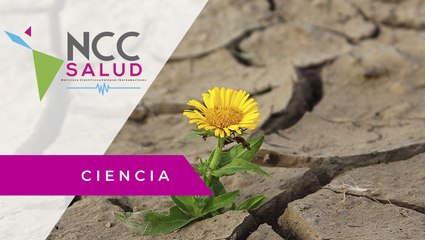 La emergencia climática, uno de los principales desafíos para la Unión Europea