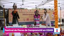 ¡El Festival de las Flores de Cempasúchil llega a Reforma!