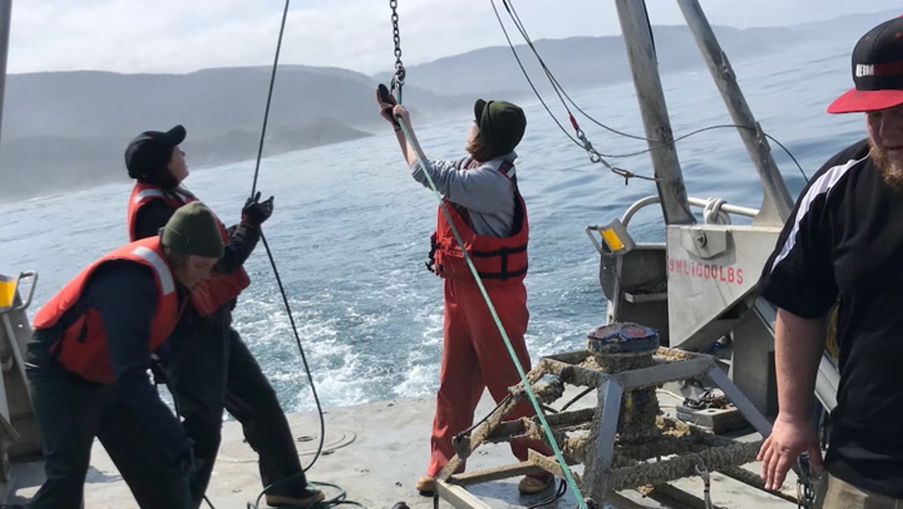 How fall storms affect ocean dead zones in the Pacific Northwest