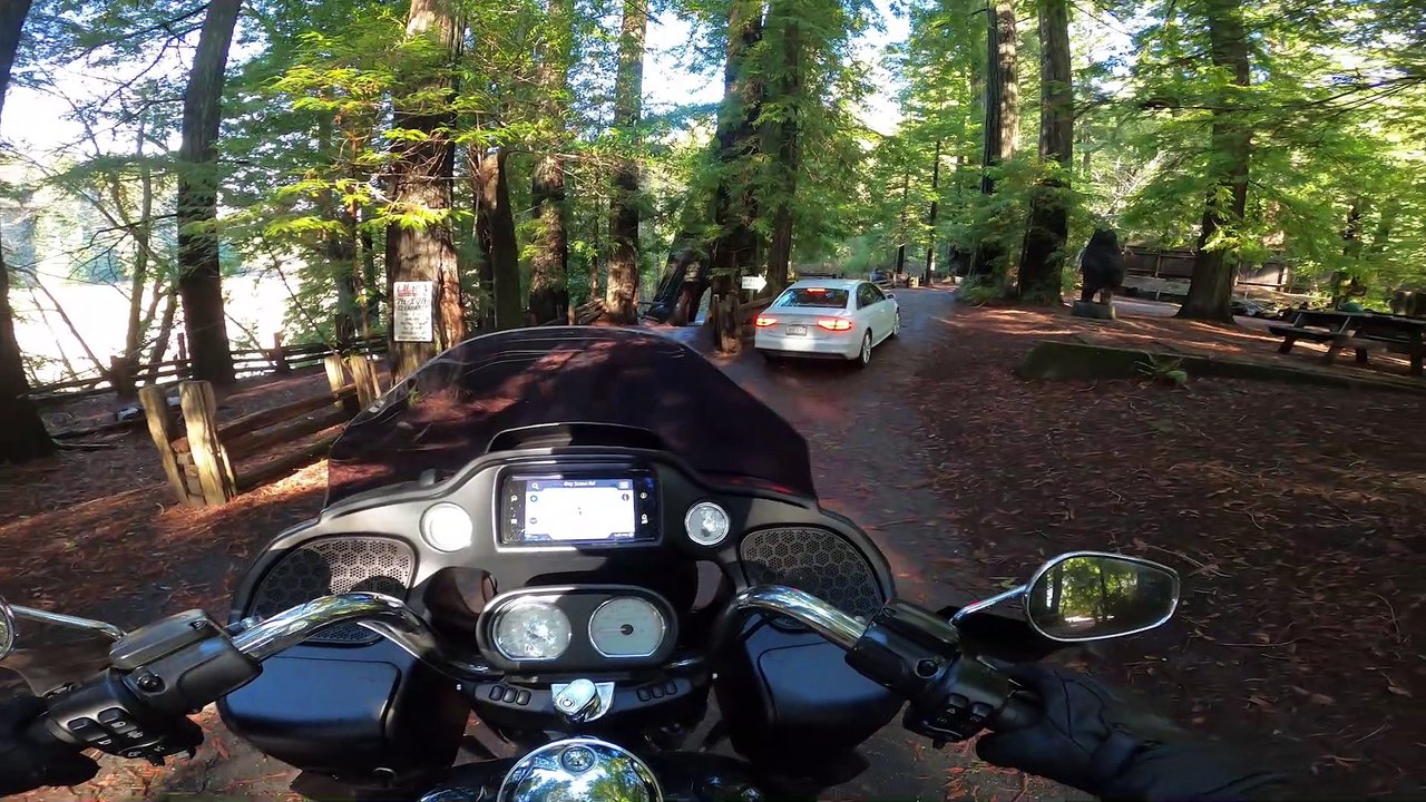 Dream Rides- Pacific Coast Highway: Riding Through the Redwoods!