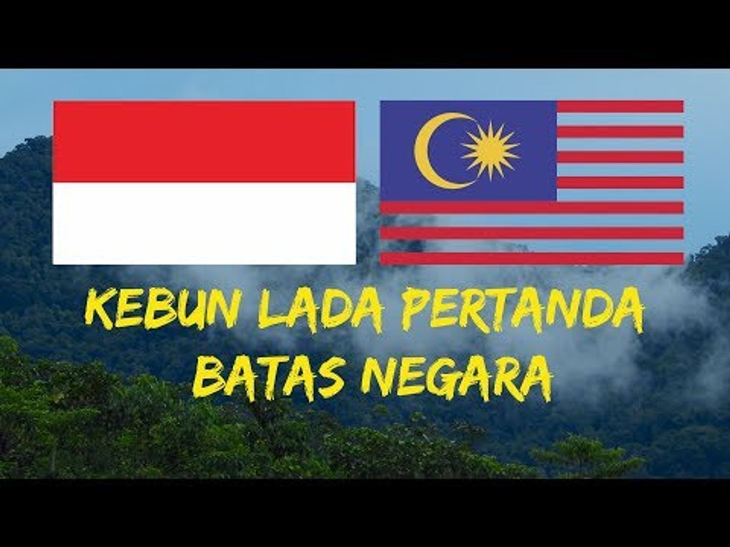 ⁣Indonesia Dengan Malaysia Dipisah oleh Kebun Lada