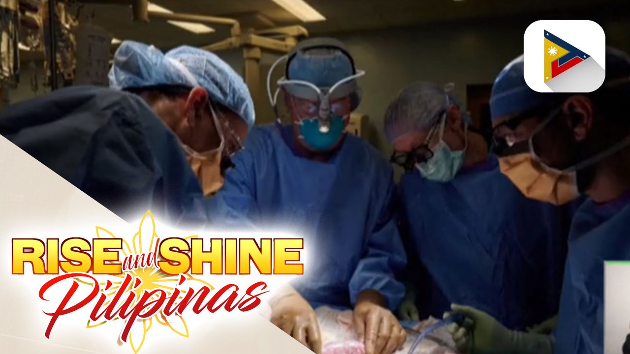Kauna-unahang pig kidney transplant sa tao, matagumpay na naisagawa
