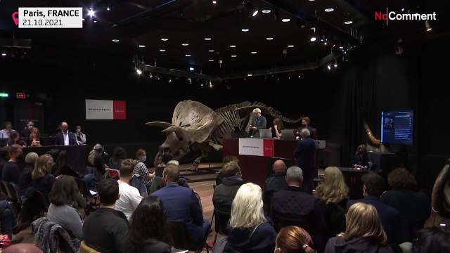 Rekord: Dino Big John kommt für 6,6 Mio. Euro unter den Hammer