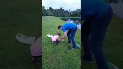 Little Girl Encounters Turtle