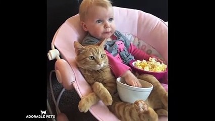Baby Pets - Cute and Funny Pets Videos Compilation #9
