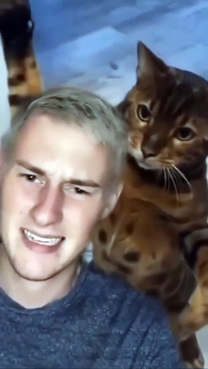 Funny Cat and Cute Cat #6 #cat #funny #kucing #lucu #pets #cute