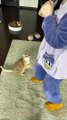 Funny Cat and Cute Cat #8 #cat #funny #kucing #lucu #pets #cute