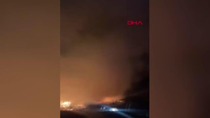 Son dakika... MANAVGAT'TA SAZLIK YANGINI