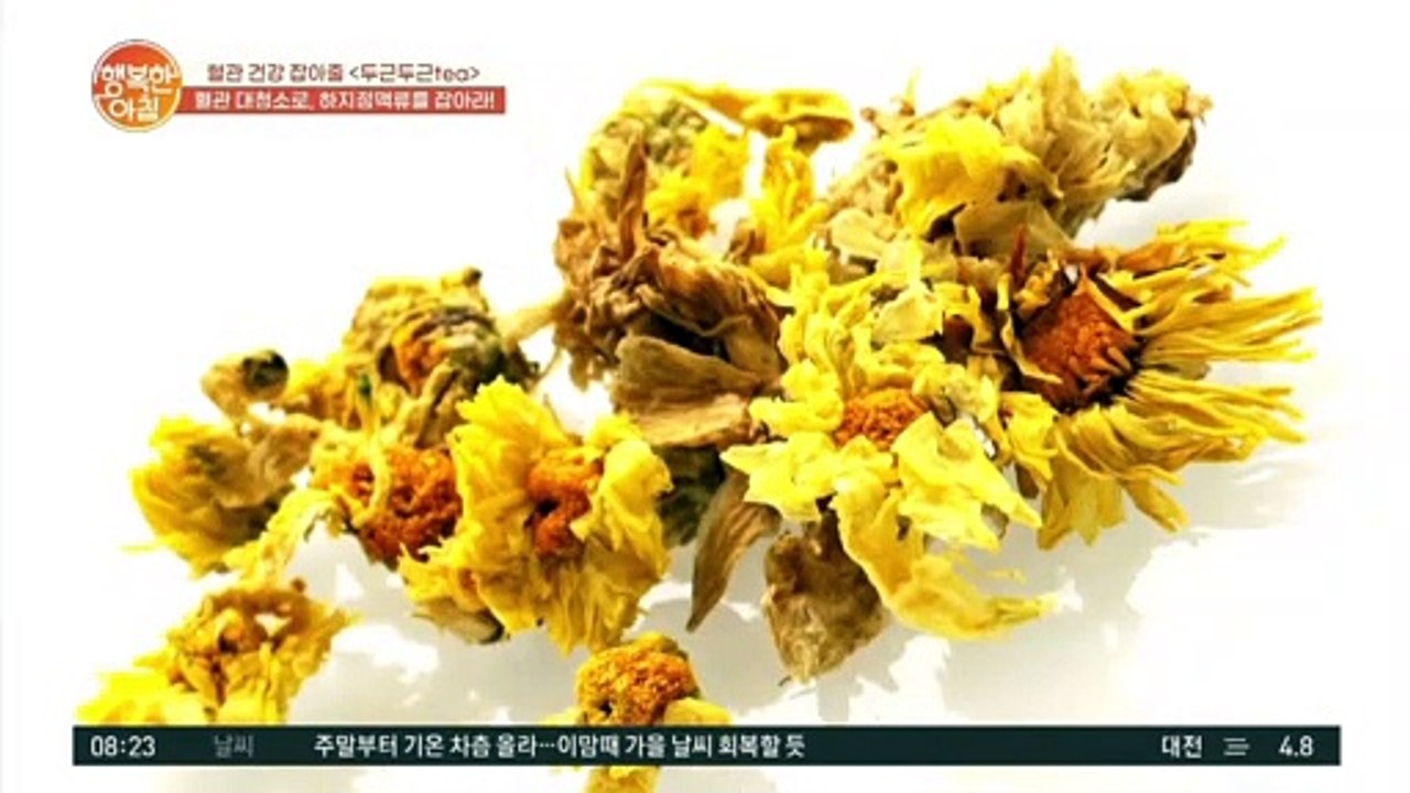 혈전, 고혈압, 고지혈증 예방에 좋은 국화차 제대로 끓이는 법