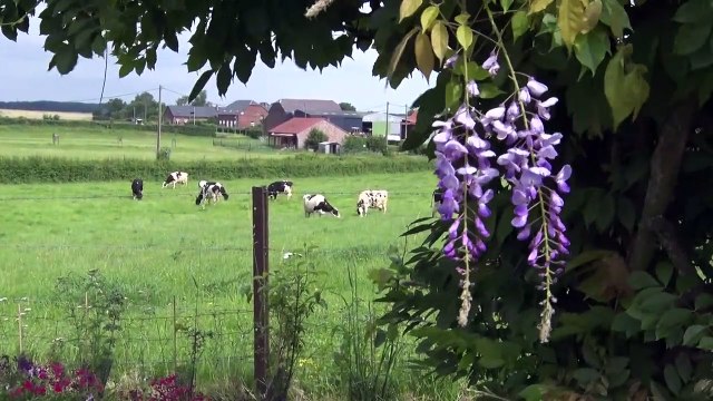 magazine _ découverte de Catillon sur Sambre, première partie