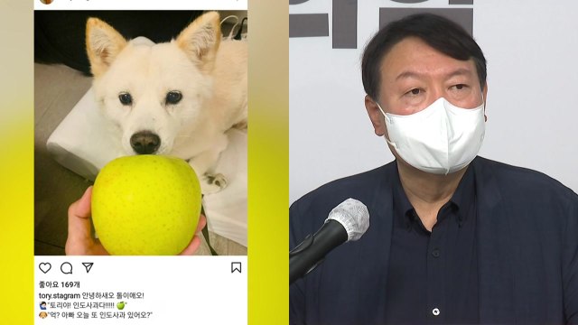 [뉴스큐] '개 사과 사진' 무슨 뜻?...윤석열 사과 논란 더 커졌다 / YTN