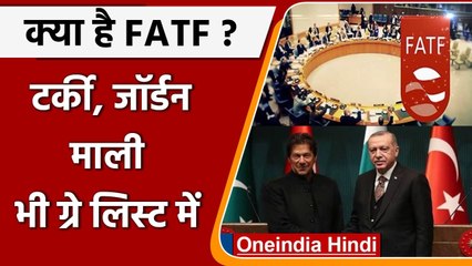 क्या है FATF ? अब Pakistan के ‘भाईजान’ Turkey को gray list में डाला, जानें | वनइंडिया हिंदी