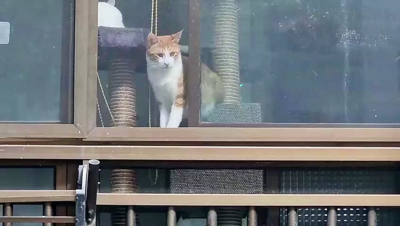 上がって来ても違わない