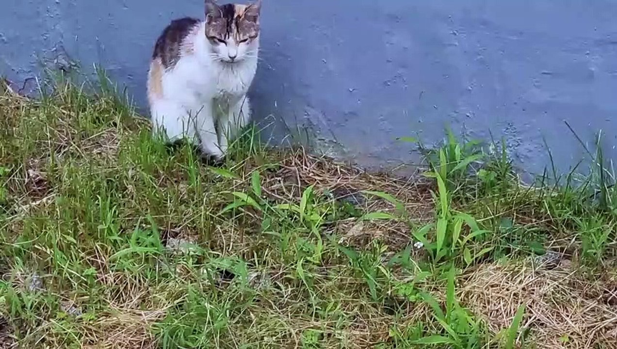 座りまま寝る