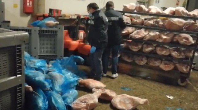 Parma - Cosce di suino congelate conservate tra ruggine e sporcizia: blitz del Nas (22.10.21)