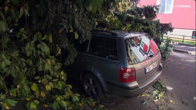 Чехия: последствия Авроры