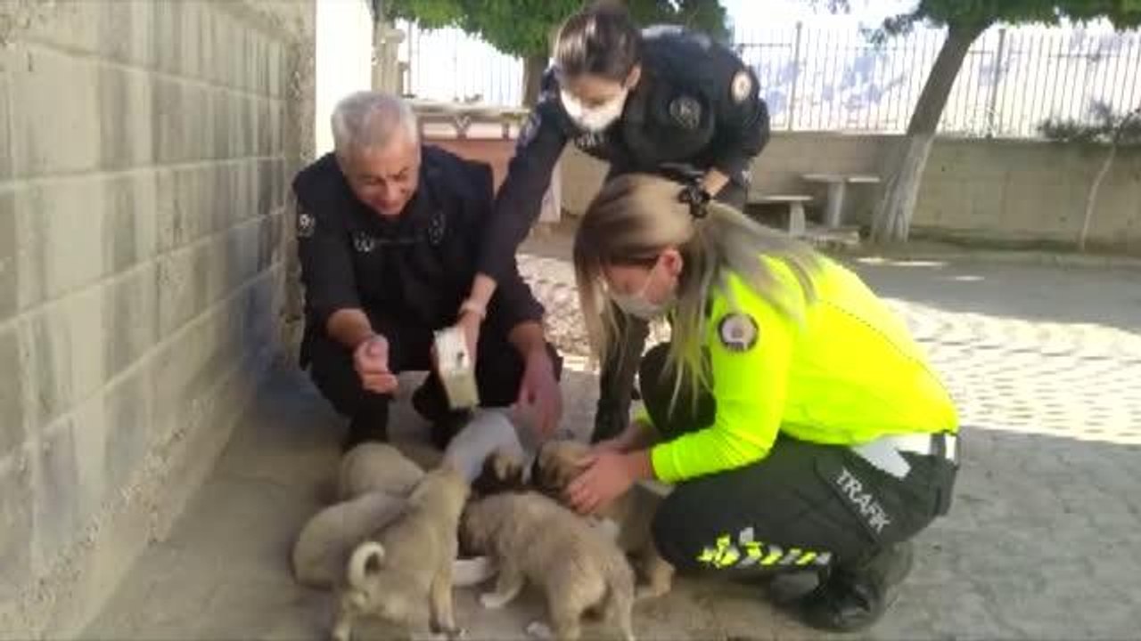 Bakımsız kalan köpek ve 7 yavrusuna polis sahip...