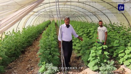 حاجز ترابي يمنع وصول المياه إلى مزارع في الشونة الجنوبية