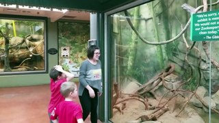 The Boy and the Polar Bear At The Zoo  Its Amazing  TRY NOT TO LAUGH