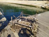 Dalgıçların İzmit Körfezi'nde karşılaştığı piknik masası deniz süpürgesiyle çıkarıldı