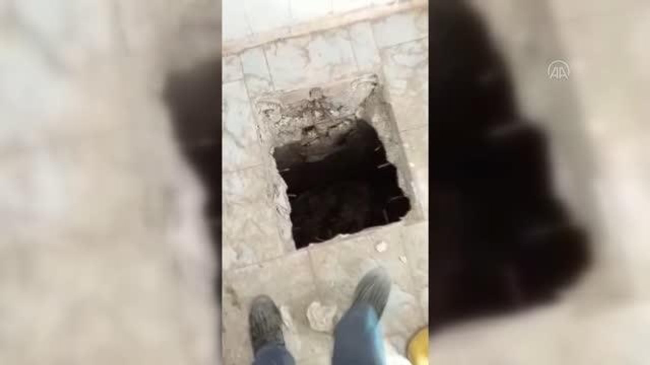 Anne köpek, yavrularının düştüğü kuyunun başından ayrılmadı