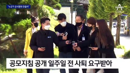 당시 심의위원장 “누군가 의결을 요식행위로 만든 것”