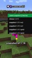 New minecraft update (1.18)